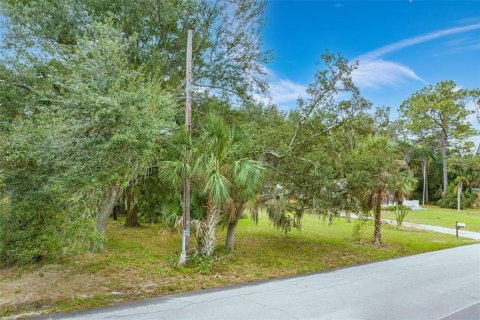 Купить земельный участок в Тампа, Флорида № 861226 - фото 2