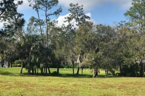 Terrain à vendre à Bradenton, Floride № 1349066 - photo 4