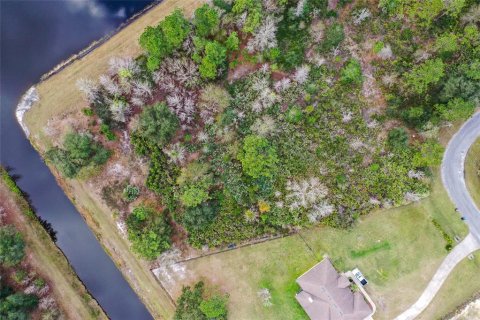 Terreno en venta en Orlando, Florida № 975085 - foto 7