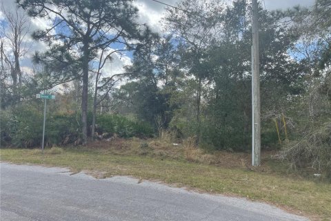 Terreno en venta en Orlando, Florida № 975085 - foto 1