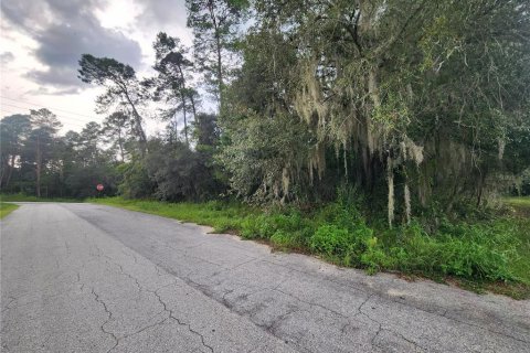 Terrain à vendre à Inverness, Floride № 1295218 - photo 4