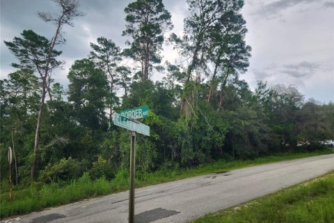 Land in Inverness, Florida № 1295218 - photo 14