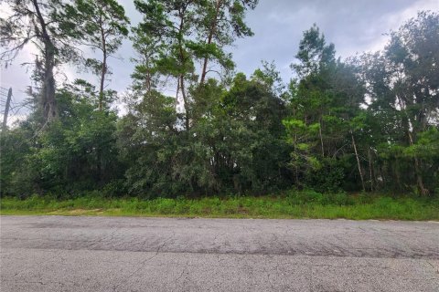 Terrain à vendre à Inverness, Floride № 1295218 - photo 6