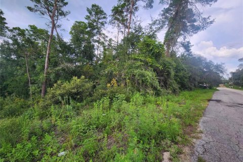 Land in Inverness, Florida № 1295218 - photo 5