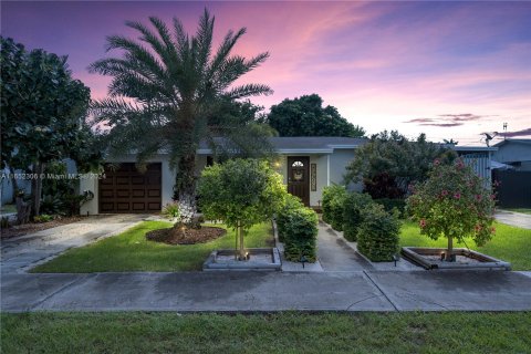 Villa ou maison à vendre à Homestead, Floride: 3 chambres, 119.84 m2 № 1348631 - photo 1