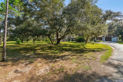 Villa ou maison à vendre à Port Richey, Floride: 4 chambres, 294.41 m2 № 1301812 - photo 3