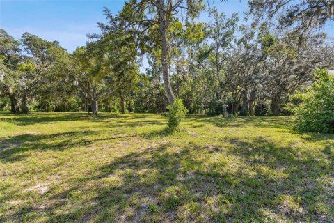 House in Port Richey, Florida 4 bedrooms, 294.41 sq.m. № 1301812 - photo 23