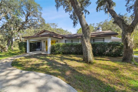 House in Port Richey, Florida 4 bedrooms, 294.41 sq.m. № 1301812 - photo 12