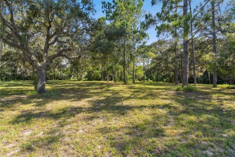 House in Port Richey, Florida 4 bedrooms, 294.41 sq.m. № 1301812 - photo 24