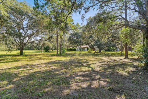 House in Port Richey, Florida 4 bedrooms, 294.41 sq.m. № 1301812 - photo 2