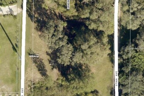 Terreno en venta en Groveland, Florida № 1359103 - foto 3