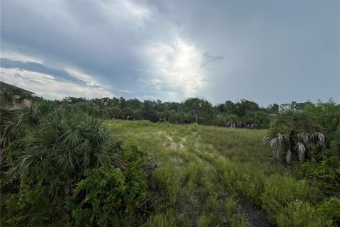 Land in Port Charlotte, Florida № 1323515 - photo 13