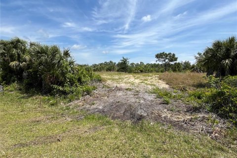 Terreno en venta en Port Charlotte, Florida № 1323515 - foto 8