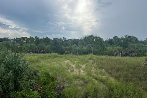 Terreno en venta en Port Charlotte, Florida № 1323515 - foto 12