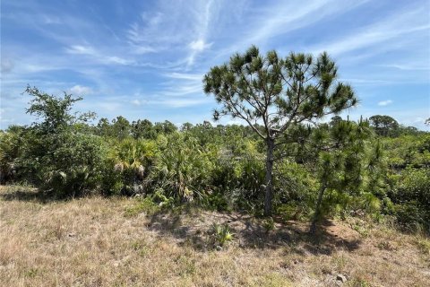 Land in Port Charlotte, Florida № 1323515 - photo 7