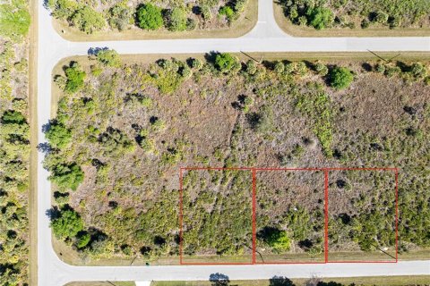 Terreno en venta en Port Charlotte, Florida № 1112883 - foto 8