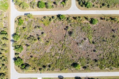 Land in Port Charlotte, Florida № 1112883 - photo 7