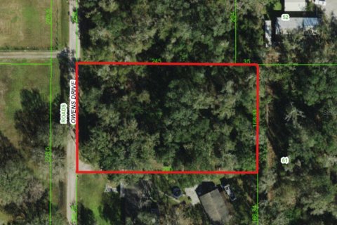 Land in Zephyrhills, Florida № 1351512 - photo 1