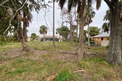 Terreno en venta en Rotonda, Florida № 946608 - foto 4