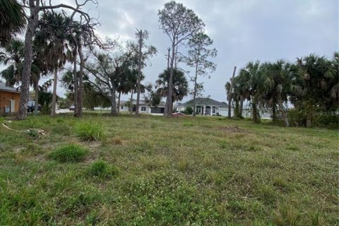 Land in Rotonda, Florida № 946608 - photo 5