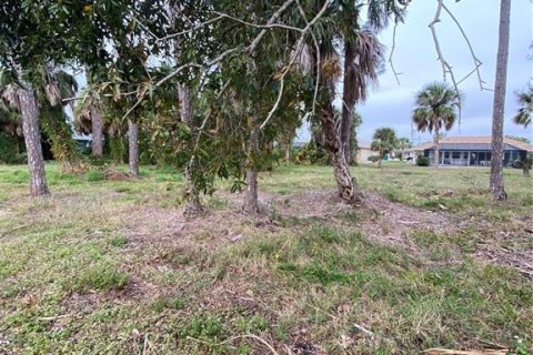 Terreno en venta en Rotonda, Florida № 946608 - foto 6