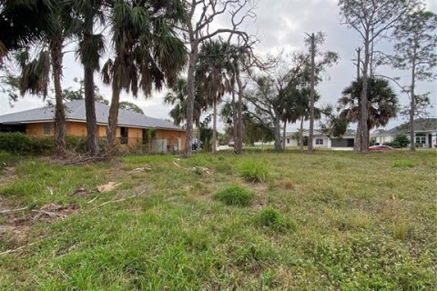 Terreno en venta en Rotonda, Florida № 946608 - foto 3