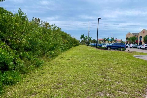 Terrain à vendre à Punta Gorda, Floride № 939725 - photo 3