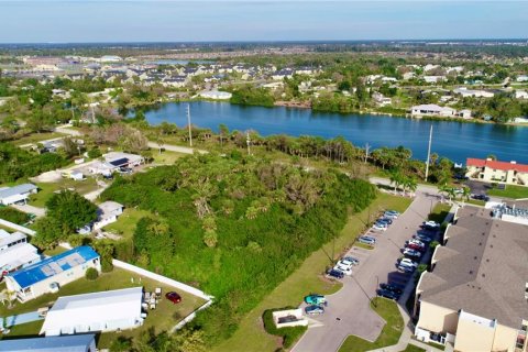 Terrain à vendre à Punta Gorda, Floride № 939725 - photo 7