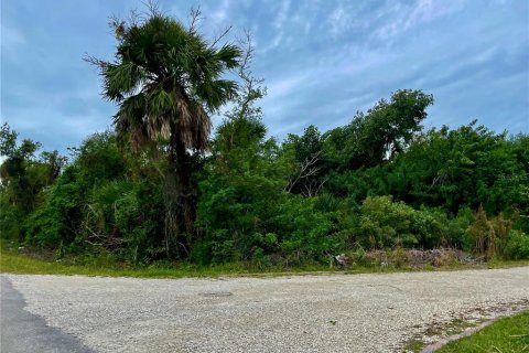 Terrain à vendre à Punta Gorda, Floride № 939725 - photo 4