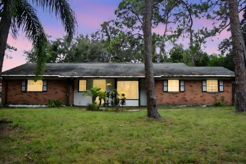 House in Brandon, Florida 3 bedrooms, 133.31 sq.m. № 1339878 - photo 1