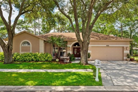 Villa ou maison à vendre à Tampa, Floride: 4 chambres, 200.48 m2 № 1361996 - photo 2