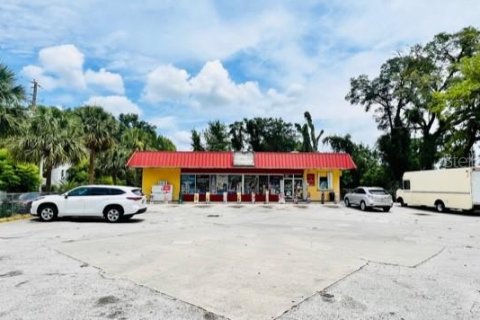 Commercial property in DeLand, Florida 238.02 sq.m. № 553768 - photo 3