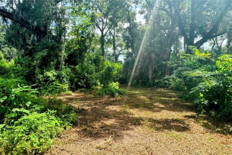 Terreno en venta en Ocala, Florida № 1286547 - foto 21