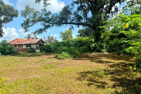 Terrain à vendre à Ocala, Floride № 1286547 - photo 7