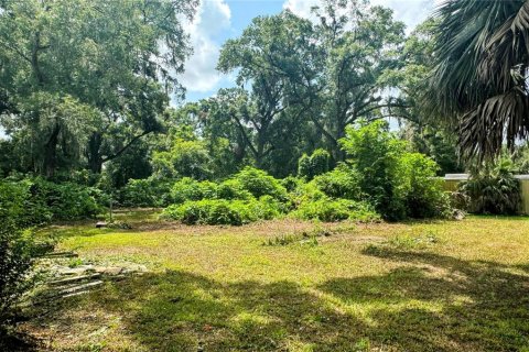 Terreno en venta en Ocala, Florida № 1286547 - foto 18