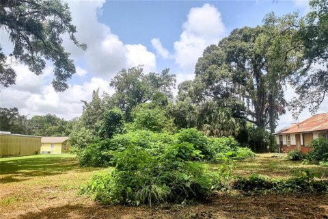 Terreno en venta en Ocala, Florida № 1286547 - foto 10