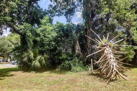 Terrain à vendre à Ocala, Floride № 1286547 - photo 29