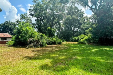 Terrain à vendre à Ocala, Floride № 1286547 - photo 22