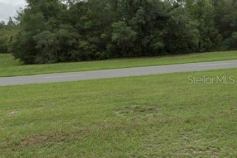 Land in Ocala, Florida № 1359343 - photo 2