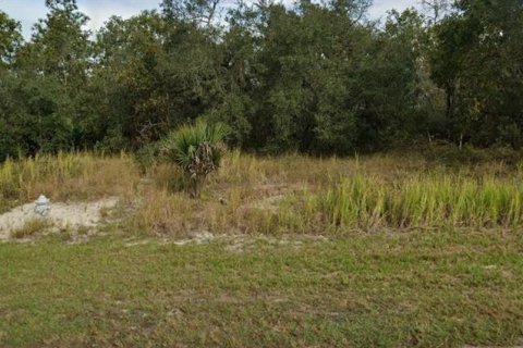 Terreno en venta en Kissimmee, Florida № 1274940 - foto 1