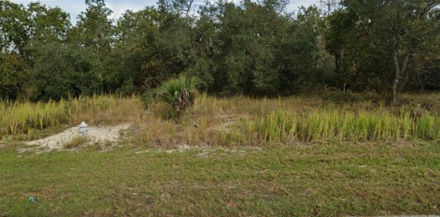 Land in Kissimmee, Florida № 1274940