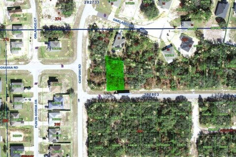 Land in Kissimmee, Florida № 1274940 - photo 2