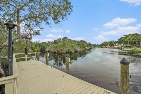 House in New Port Richey, Florida 5 bedrooms, 245.08 sq.m. № 1354099 - photo 28