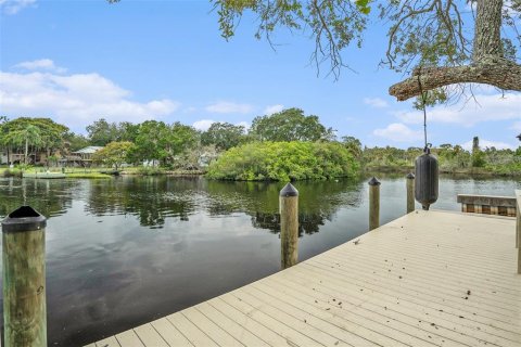 House in New Port Richey, Florida 5 bedrooms, 245.08 sq.m. № 1354099 - photo 30