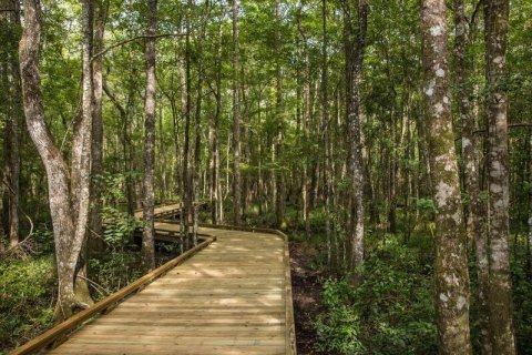 Falls at Shearwater - 60' sobre plano en Saint Augustine, Florida № 436411 - foto 7