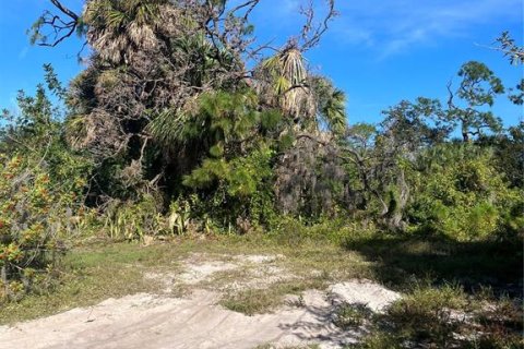 Terrain à vendre à Englewood, Floride № 876830 - photo 2