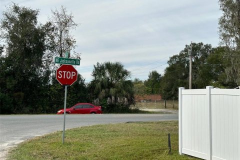 Terrain à vendre à Ocala, Floride № 876829 - photo 4