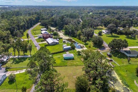 Terreno en venta en Dunnellon, Florida № 1316861 - foto 6