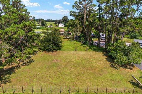 Land in Dunnellon, Florida № 1316861 - photo 1