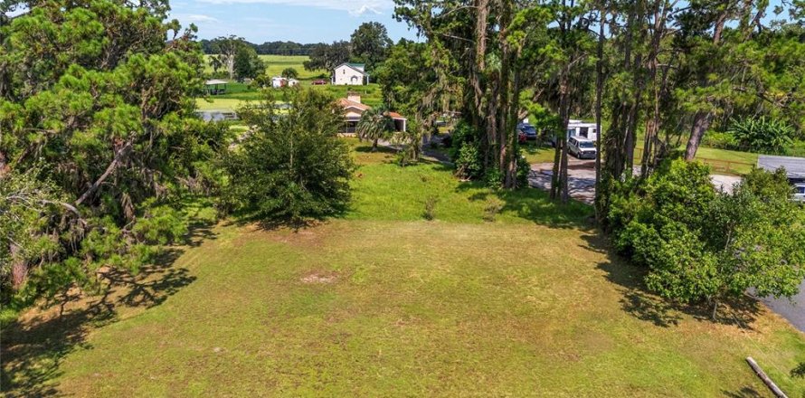 Terrain à Dunnellon, Floride № 1316861